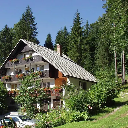 Destina, Homestay