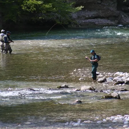 Destina, Bohinj