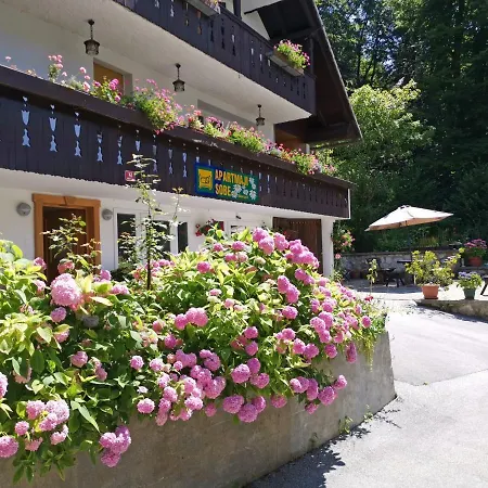 Destina, Homestay *